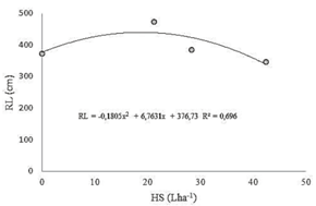 Banana root length (RL) as a function of the isolated application of humic substances (HS).