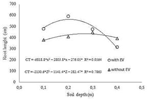 Banana root length (RL) as a function of the application of humic substances (HS) with and without PE.