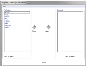 Screen to R program package installation