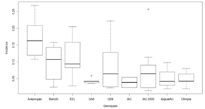 Box-plot of the incidence of citrus canker on leaves of different genotypes of sweet orange Pera (Citrus sinensis).