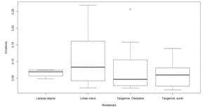 Box-plot of the incidence of citrus canker on leaves of scions of sweet orange Pera (Citrus sinensis) on four different rootstocks.