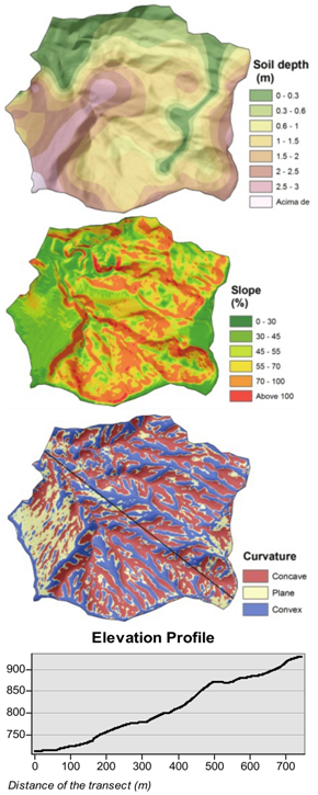 Terrain properties and profile graph of the Yung subwatershed, Juiz de Fora, Minas Gerais State.