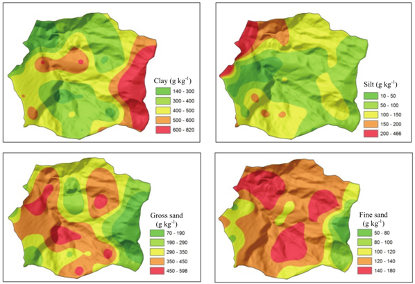 Spatialization of soil surface texture in the Yung sub-basin, Juiz de Fora, Minas Gerais State.
