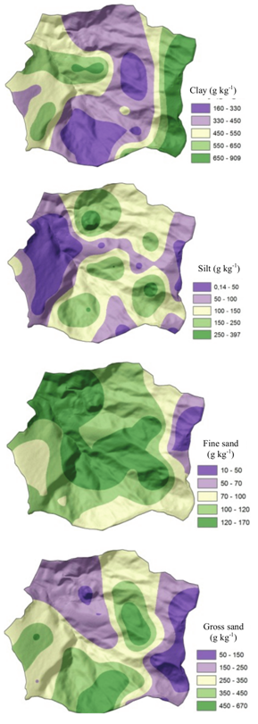 Spatialization of the soil texture in deeper layers in the Yung sub-basin, Juiz de Fora, Minas Gerais State.