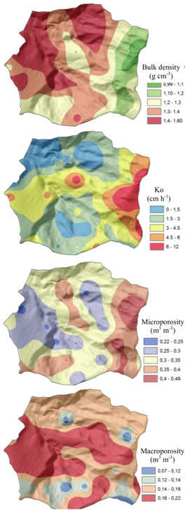 Spatial-physical properties in the sub-basin of the Yung creek, Juiz de Fora, Minas Gerais State.