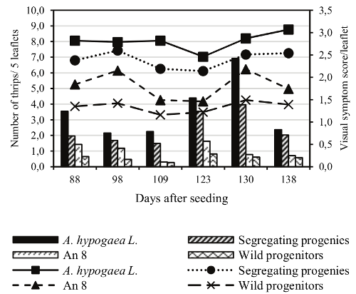 dynamics (bars) and visual symptom scores (lines) of E. flavens in genotypes of A. hypogaea L. (Runner IAC 888, IAC 503 and L. 335), segregating progenies in the F3 generation, and amphidiploid (A. magna x A. cardenasii)4x and wild progenitors (A. magna and A. cardenasii). Pindorama, State of S&atilde;o Paulo, 2013/2014.