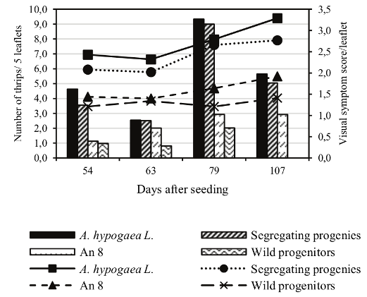 Population dynamics and visual symptom scores of E. flavens in genotypes of A. hypogaea L. (Runner IAC 888, IAC 503 and L. 335), segregating progenies in the F4 generation, and amphidiploid (A. magna x A. cardenasii)4x and wild progenitors (A. magna and A. cardenasii). Pindorama, State of S&atilde;o Paulo, 2014/2015.