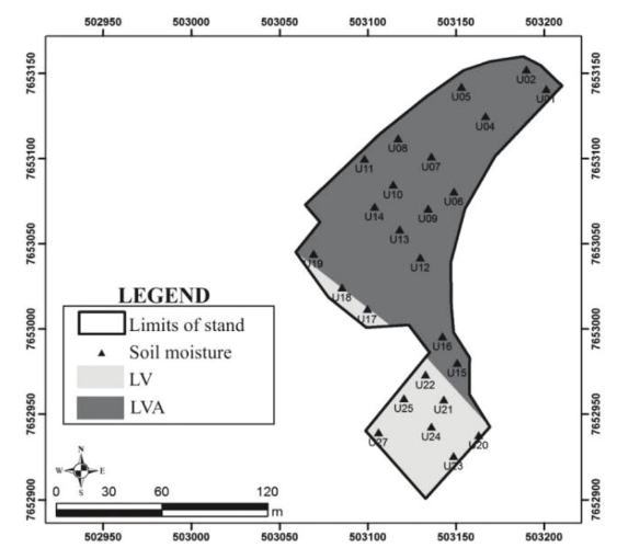 The spatial distribution of the soil moisture monitoring points in the eucalyptus stand.