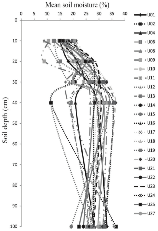 Average soil moisture, by layer, for the sampled points in the eucalyptus stand.