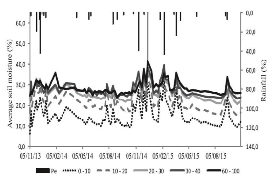 Time series of average soil moisture, by layer, in a eucalyptus stand.
