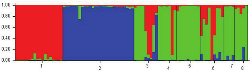 Bar plot of descendants from Conyza canadensis obtained from Dinuba (HWR) and Fresno (HWS 156), C. bonariensis obtained from Parlier, and C. sumatrensis obtained from Campo Mour&atilde;o (3), Floresta (4), Cascavel (5), Cafel&acirc;ndia (6), Peabiru (7), and Toledo (8) in three inferred groups based on ΔK values. Each plantlet is represented by a single vertical line broken into K colored segments (K = 3), with lengths proportional to each of the K inferred clusters. Each color represents the proportion of membership of each individual, represented by a vertical line.