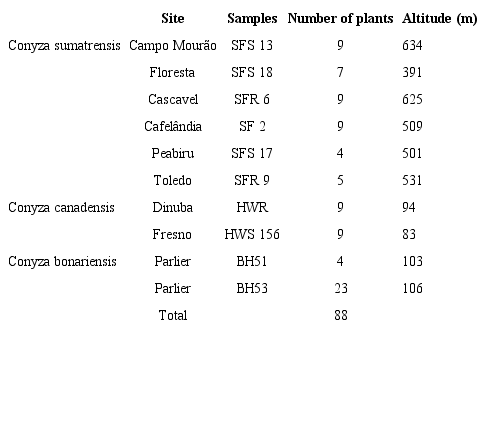 Samples of Conyza sumatrensis (SF) obtained from several sites (Campo Mour&atilde;o, Floresta, Cascavel, Cafel&acirc;ndia, Peabiru, and Toledo) in Paran&aacute; State, Brazil, and samples of Conyza canadensis (HW) and Conyza bonariensis (BH) obtained from Dinuba, Fresno, and Parlier in the Central Valley of the State of California, USA. 
