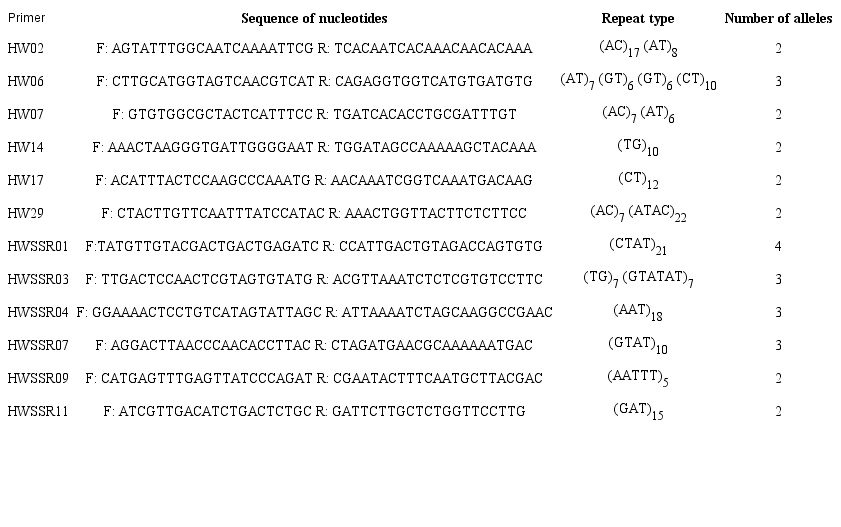 Simple Sequence Repeat (microsatellite) primers used for analysis of the Conyza sumatrensis, C. canadensis, and C. bonariensis plants, and the number of alleles at each locus.