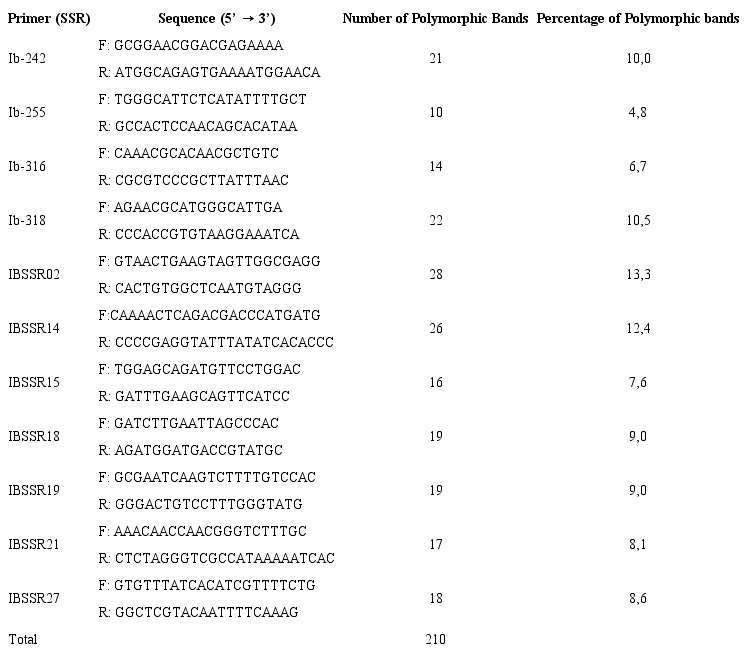List of SSR primers selected for DNA amplification of sweet potato genotypes (Ipomoea batatas) with its base sequences. UFVJM, Diamantina, Minas Gerais State, 2016.