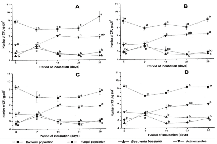 Interactions between Beauveria bassiana population and other naturally-occurring microbial populations in soil treated with fungicide containing the active ingredient thiophanate-methyl, applied A) 1 hour before inoculation with fungus, B) 1 hour after inoculation with fungus, C) 48 hours after inoculation with fungus. D is the control, to which no fungicide was added. Means (&plusmn; standard deviation) with the same lower case letters for the incubation period of the same population were not significantly different (Tukey&rsquo;s test, 5% probability). Statistical analysis performed and graphs plotted with data transformed in log (x+5).
