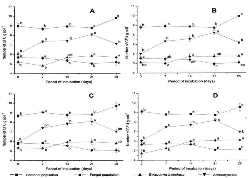 Interactions between Beauveria bassiana population and other naturally-occurring microbial populations in soil treated with fungicide containing the active ingredient pyraclostrobin, applied A) 1 hour before inoculation with fungus, B) 1 hour after inoculation with fungus, C) 48 hours after inoculation with fungus. D is the control, to which no fungicide was added. Means (&plusmn; standard deviation) with the same lower case letters for the incubation period of the same population were not significantly different (Tukey&rsquo;s test, 5% probability). Statistical analysis was performed and graphs plotted with data transformed in log (x+5).