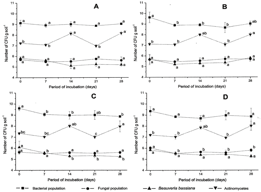 Interactions between Beauveria bassiana population and other naturally-occurring microbial populations in soil treated with fungicide containing the active ingredient mancozeb, applied A) 1 hour before inoculation with fungus, B) 1 hour after inoculation with fungus, C) 48 hours after inoculation with fungus. D is the control, to which no fungicide was added. Means (&plusmn; standard deviation) with the same lower case letters for the incubation period of the same population were not significantly different (Tukey&rsquo;s test, 5% probability). Statistical analysis performed and graphs plotted with data transformed in log (x+5).