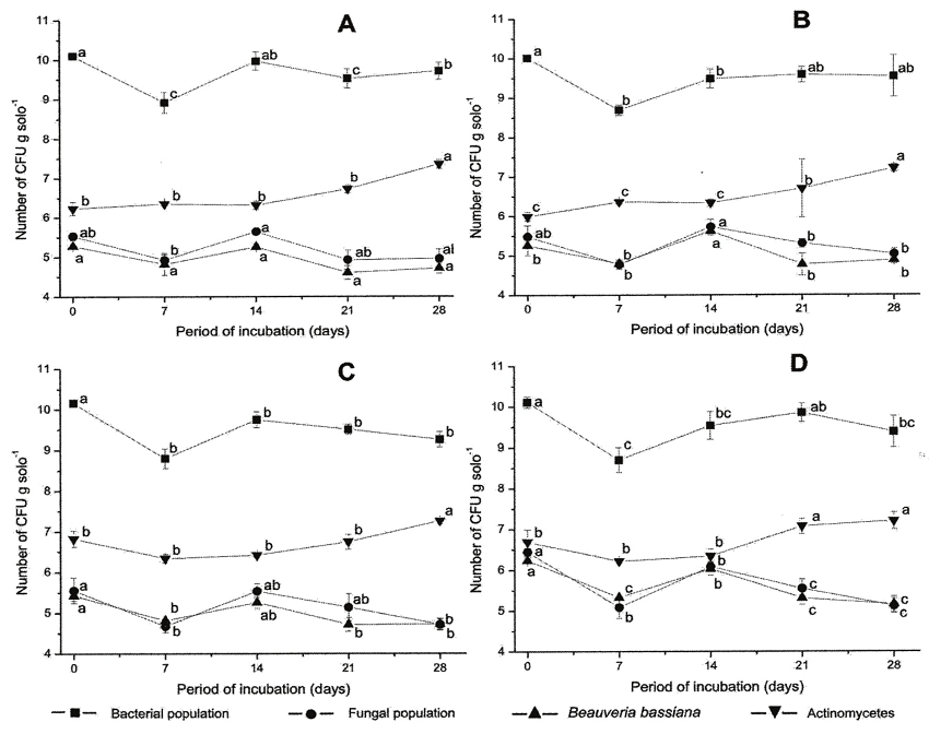 Interactions between Beauveria bassiana population and other naturally-occurring microbial populations in soil treated with fungicide containing the active ingredient copper oxychloride, applied A) 1 hour before inoculation with fungus, B) 1 hour after inoculation with fungus, C) 48 hours after inoculation with fungus. D is the control, to which no fungicide was added. Means (&plusmn; standard deviation) with the same lower case letters for the incubation period of the same population were not significantly different (Tukey&rsquo;s test, 5% probability). Statistical analysis performed and graphs plotted with data transformed in log (x+5).