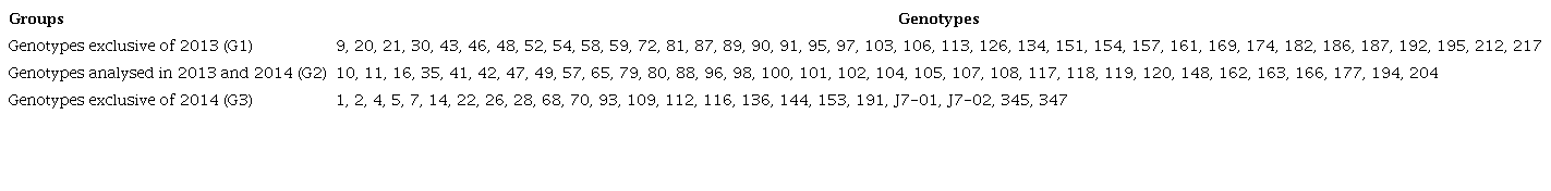 Genotypes of jabuticabeira trees with fruits collected in the years of 2013 (70 genotypes) and 2014 (56 genotypes). The genotypes sampled are divided in three groups, being the ones sampled only in 2013 in Group 1 (G1), the ones sampled in both years in Group 2 (G2) and the ones samples in the year of 2014 in Group 3 (G3). 