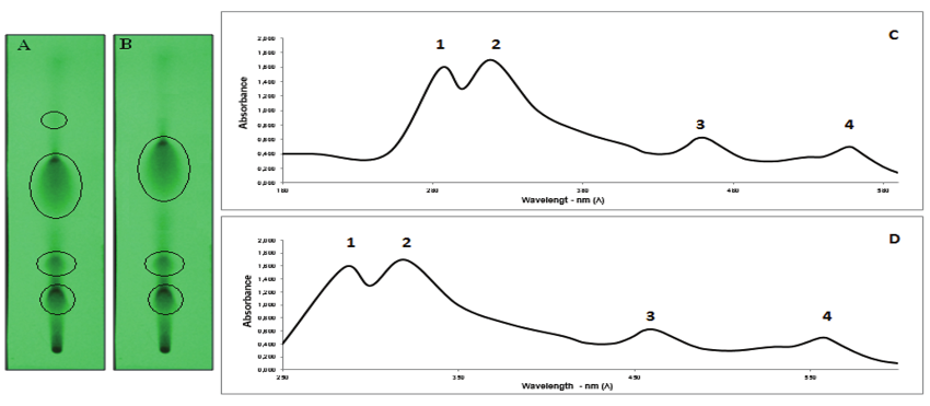 Chromatoplate A corresponds to CNSL, a component of A. occidentale, and Chromatoplate B to the formulation. Figures 1C and 1D represent CNSL and formulation spectra UV-vis absorption; absorption at 280 nm corresponds to cardol (1) and at 320 nm to anacardic acid (2).