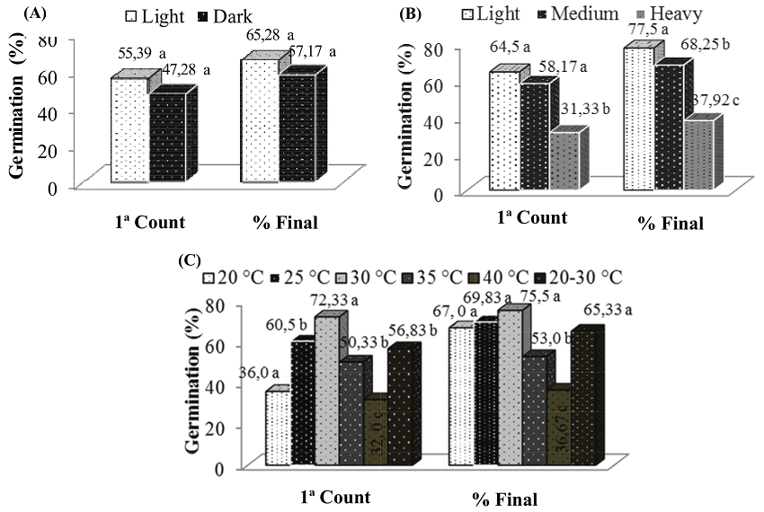 First count and final germination percentage (%) of Amburana cearensis (Allem&atilde;o) A. C. Sm. seeds as influenced by light conditions (A), weight classes (B) and temperature regimes (C).
