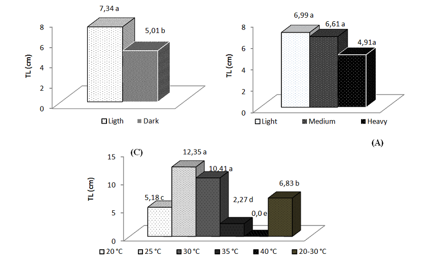 Total length (TL) of Amburana cearensis (Allem&atilde;o) A.C. Sm. seedlings as influenced by light conditions (A), weight classes (B) and temperature regimes (C).