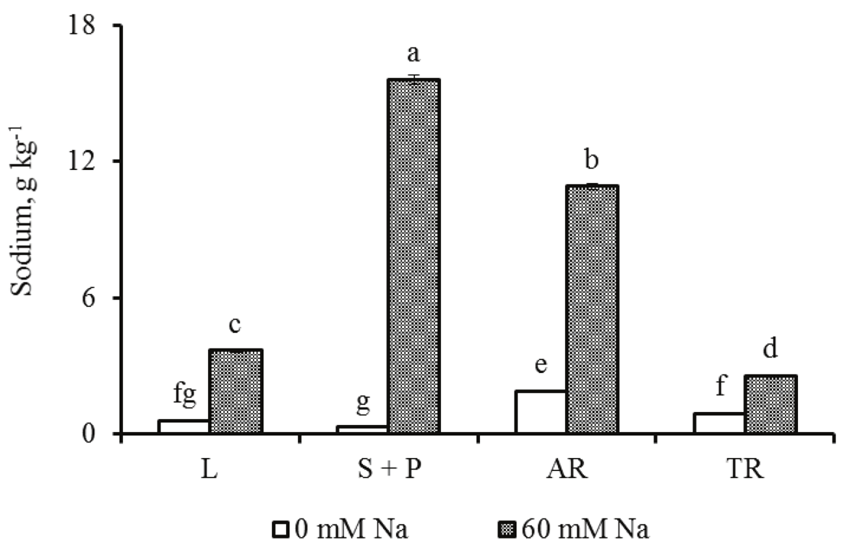 Sodium concentrations in the organs of cassava plants grown under different NaCl concentrations. L = leaf; S + P = stem + petiole; AR = absorption roots; and TR = tuberous roots. Values given are means &plusmn; standard error, and means followed by the same letter are not significantly different at p < 0.05.