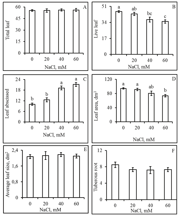 Total number of leaves produced during the experimental period (A), the number of leaves attached to the stems or living leaves (B), the number of abscised leaves (C), leaf area (D), average leaf size (E), and the number of tuberous roots (F) of cassava plants grown under different concentrations of NaCl. Values given are the means &plusmn; standard error, and the means followed by the same letter are not significantly different at p < 0.05.