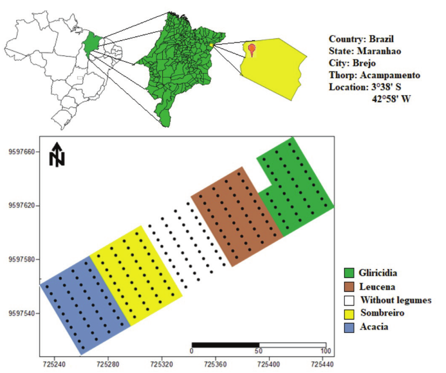 and diagram of the experimental area. Different colours indicate legume species that make up the alley cropping system. In all the plots, leguminous trees are intercropped with corn and mulato grass; in the plot without legumes, only corn and grass are cultivated. In this study, only gliricidia and sombreiro were sampled. Black dots are georeferenced and indicate the points where the soil samples were collected. The follow up of the results regarding periodic collections of soil in the georreferenced points are objective of other studies and are not included in this work.