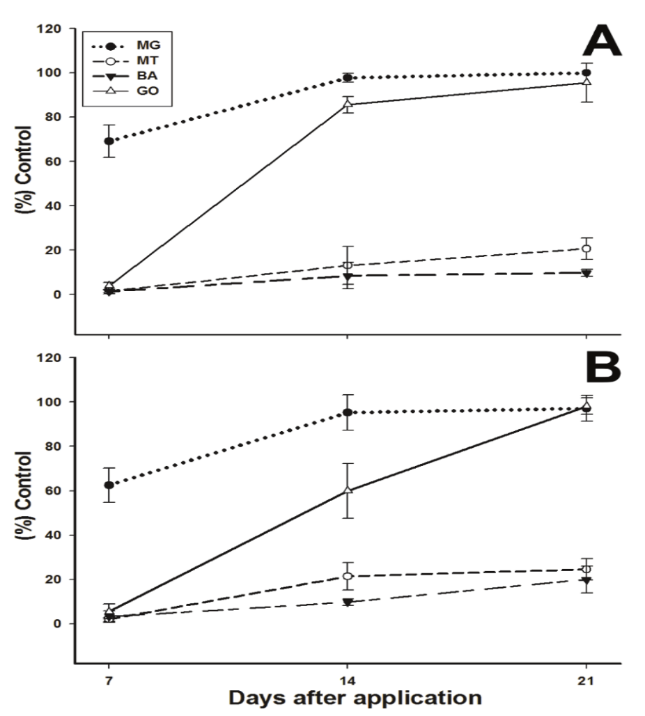 percentage of the suspected glyphosate-resistant Digitaria insularis biotypes GO, MT, and BA compared with the MG-susceptible biotype treated at 720 (A) and 1440 (B) g ae ha-1, and evaluated at 7, 14, and 21 days after application. Vertical bars represent the standard error (n = 6).