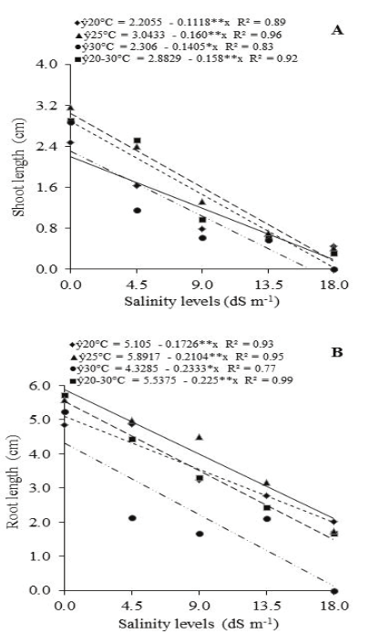 Shoot length (A) and root length (B) of S. hispanica seedlings at different levels of salinity and temperature. NS,**, and * = non significant, significant at p < 0.01 and p <0.05 propabaility level, respectively.