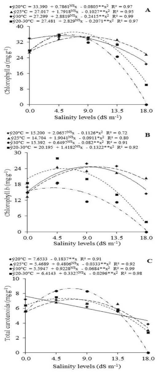 Contents of chlorophyll a (A), chlorophyll b (B) and total carotenoids (C) in S. hispanica seedlings at different levels of salinity and temperature. NS,**, and * = non significant, significant at p < 0.01 and p < 0.05 propabaility level, respectively.