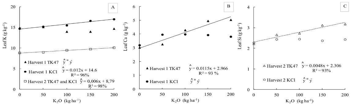Effects of K levels and sources on leaf concentrations of K, Ca, and Si for sugarcane variety SP832847, 2011/12 and 2012/13 crops (Usina Vale do São Simão, Chaveslandia, Minas Gerais State, Brazil). TK47 = Thermopotash; KCl = Potassium chloride; 5% significance level (*).