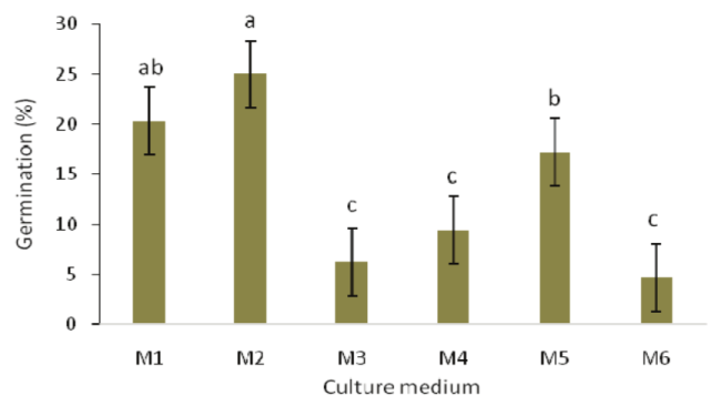 Efficiency of globular and cordiform Capsicum baccatum and Capsicum frutescens embryo cultivation in vitro in the following media: M1 = &frac12; MS + 0.01 mg L-1 of IAA and GA3; M2 = &frac12; MS + 0.05 mg L-1 of IAA and GA3; M3 = &frac12; MS + 0.1 mg L-1 of IAA and GA3; M4 = MS + 0.01 mg L-1 of IAA and GA3; M5 = MS + 0.05 mg L-1 of IAA and GA3; M6 = MS + 0.1 mg L-1 of IAA and GA3. Lines over the bars show the standard error of the mean. Columns with the same letter did not differ from one another in the DMS test, p < 0.01.