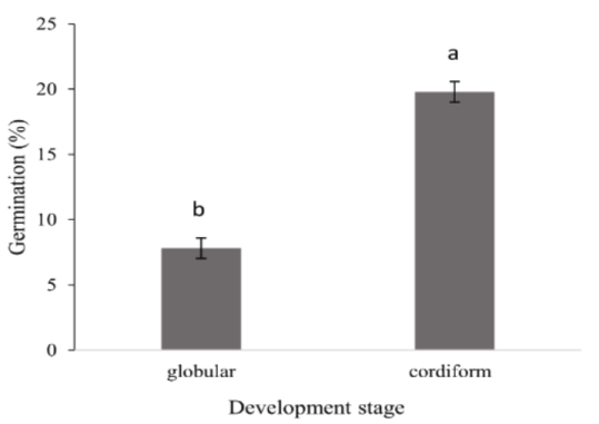 Efficiency of in vitro cultivation for globular and cordiform Capsicum baccatum and Capsicum frutescens embryo germination regardless of the medium used. Lines over the bars show the standard error of the mean. The columns were different from one another based on the F-test, p < 0.01.