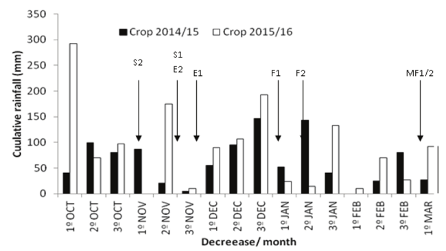 Cumulative rainfall for the 2014/15 and 2015/16 harvests. Mata, 2016. S: sowing, E: emergence, F: flowering and MF: physiological maturation. Season 1: 2014/15 and season 2: 2015/16.