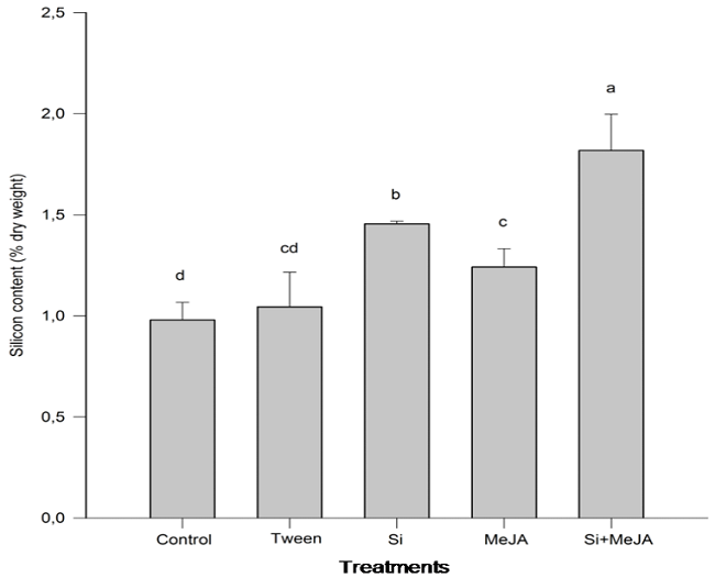 Silicon content (SiO2) (%) (&plusmn; standard error) in the dry mass of the aerial part of rice plants subjected to different treatments. Distinct letters in the columns show significant differences, based on the Tukey test (p < 0.05). The vertical bars show standard error (&plusmn;). Si: Silicon; MeJA: Methyl jasmonate.
