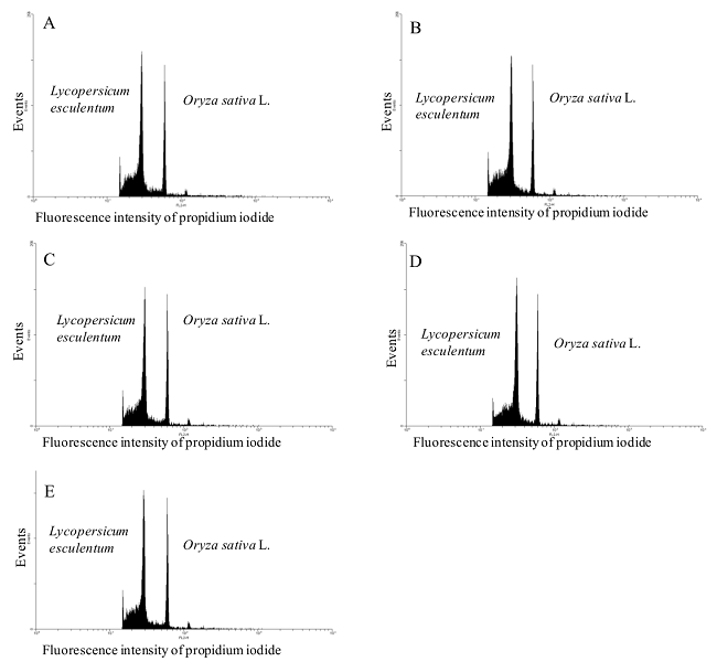 Histograms obtained through cytometric analysis of rice plants subjected to different treatments. (A) Control, (B) Tween, (C) Silicon, (D) Methyl jasmonate, and (E) Silicon and Methyl jasmonate.