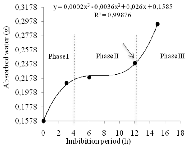 Imbibition curve of millet seeds (Pennisetum glaucum L.). The arrow indicates the moment of radicle protrusion.