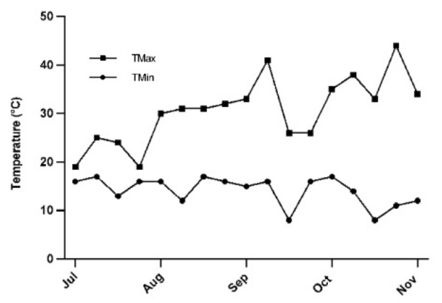 Minimun (TMin) and maximum (TMax) every 10 days temperature during the crop cycle in greenhouse conditions.