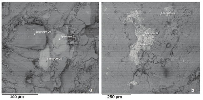 Scanning electron microscope (SEM) image captured from I-type granites and their respective elemental composition by energy dispersive X-ray spectrum (EDS). (a) Chemical composition of apatite (Spectrum 20: Ca - 67%, P - 29%, Fe - 1%, Si - 1%, Al - 1% K - 1%), magnetite (Spectrum 21: Fe - 98%, Si, Al, Ca - 1%), and zircon (Spectrum 22: Zr - 78%, Si - 20%, Fe - 2%). (b) Chemical composition of magnetite: spectrum 28 (Fe - 98%, Si, Al - 1%) and spectrum 29 (Fe - 98%, Si, Al - 1%); and biotite (Spectrum 30 Si - 33%, Fe - 25%, Al - 16%, K - 13%, Mg 11%, Ti - 2%).