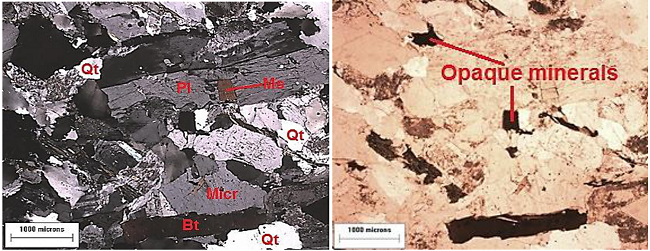 General aspects of the petrographic characteristics of the most predominant rock type (granite) encountered across the Ipojuca catchment, northeast Brazil (a: left). Opaque minerals (b: right). Qt - quartz; Micr - microcline; Bt - biotite; Pl - plagioclase; Ms - muscovite.
