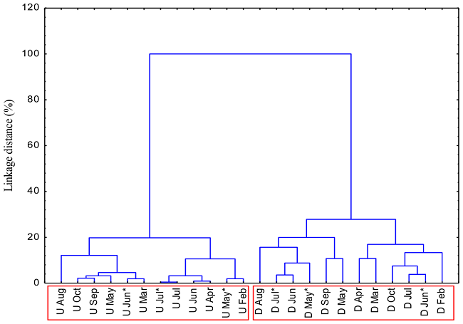 Cluster analysis of metal concentrations in the suspended sediment, according to Ward’s method. U = upstream; D = downstream; * = second measurement in the same month.