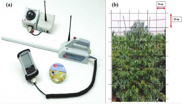 SunScan equipment used to measure the fraction of photosynthetically active incident radiation (PARi) (a); Quadrant scheme evaluated in the plant canopy (b).