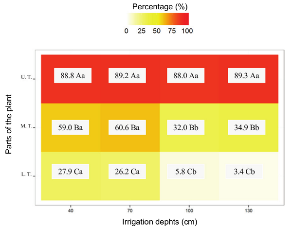 Percentage of photosynthetically active incident radiation (PARi) in the upper third (UT), middle third (MT) and lower third (LT) of plants subjected to different irrigation depths (L130%, L100%, L70%, and L40%). Distinct capital letters within the same irrigation depth and distinct lowercase letters within the same plant part differ from each other at a 5% probability level by Tukey&rsquo;s test.