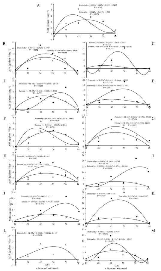 Absolute growth rate (AGR) o &lsquo;Reden&ccedil;&atilde;o&rsquo; (A), &lsquo;AF 26970&rsquo; (B), &lsquo;Reden&ccedil;&atilde;o&rsquo; x &lsquo;AF 26970&rsquo; (C), &lsquo;LA-1401&rsquo; (D), &lsquo;Reden&ccedil;&atilde;o&rsquo; x &lsquo;LA-1401&rsquo; (E), &lsquo;AF 19684&rsquo; (F), &lsquo;Reden&ccedil;&atilde;o&rsquo; x &lsquo;AF 19684&rsquo; (G), &lsquo;PI-127826&rsquo; (H), &lsquo;Reden&ccedil;&atilde;o&rsquo; x &lsquo;PI-127826&rsquo; (I), &lsquo;PI-134417&rsquo; (J), &lsquo;Reden&ccedil;&atilde;o&rsquo; x &lsquo;PI-134417&rsquo; (K), &lsquo;LA-716&rsquo; (L) and &lsquo;Reden&ccedil;&atilde;o&rsquo; x &lsquo;LA-716&rsquo; (M) cultivated in protected and external environments at 14, 28, 42, 56, 70 and 84 days after transplanting (DAT).