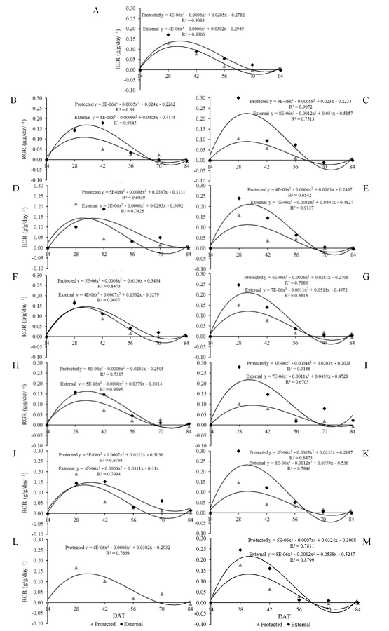 Relative growth rate (RGR) of &lsquo;Reden&ccedil;&atilde;o&rsquo; (A), &lsquo;AF 26970&rsquo; (B), &lsquo;Reden&ccedil;&atilde;o&rsquo; x &lsquo;AF 26970&rsquo; (C), &lsquo;LA-1401&rsquo; (D), &lsquo;Reden&ccedil;&atilde;o&rsquo; x &lsquo;LA-1401&rsquo; (E), &lsquo;AF 19684&rsquo; (F), &lsquo;Reden&ccedil;&atilde;o&rsquo; x &lsquo;AF 19684&rsquo; (G), &lsquo;PI-127826&rsquo; (H), &lsquo;Reden&ccedil;&atilde;o&rsquo; x &lsquo;PI-127826&rsquo; (I), &lsquo;PI-134417&rsquo; (J), &lsquo;Reden&ccedil;&atilde;o&rsquo; x &lsquo;PI-134417&rsquo; (K), &lsquo;LA-716&rsquo; (L) and &lsquo;Reden&ccedil;&atilde;o&rsquo; x &lsquo;LA-716&rsquo; (M) cultivated in protected and external environments at 14, 28, 42, 56, 70 and 84 days after transplanting (DAT).