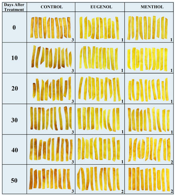 Appearance of French fries prepared from ‘Asterix’ potato treated with eugenol, menthol and control stored for 10, 20, 30, 40, and 50 days at 8oC.