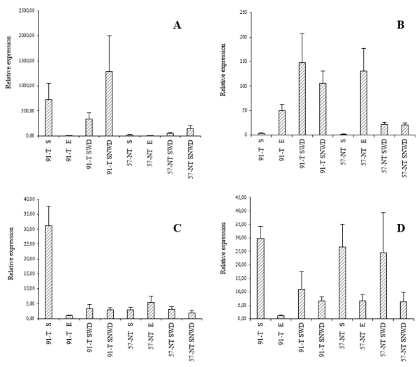 Expression of the genes ZmDBP3 (A), ZmALDH9 (B), ZmAN13 (C) and ZmDREB2A (D) in the dried seeds (S), ear tips (E) and seedlings of two maize lines (91-T and 57-NT) under two water availability conditions, water deficit (SWD) (10% water retention capacity of substrate) and no water deficit (SNWD) (70% water retention capacity of substrate).