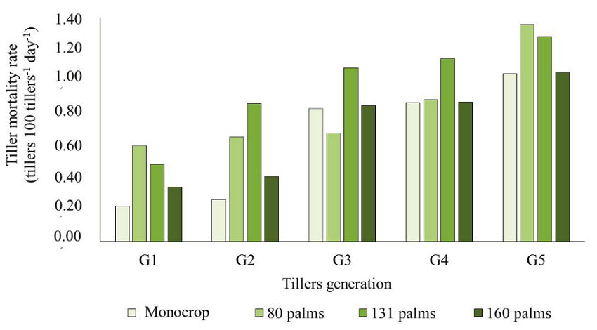 Basal tiller mortality rate in the monocrop of Marandu grass and in silvopastoral systems with different densities of babassu palm trees, grazed by cattle under continuous stocking.
